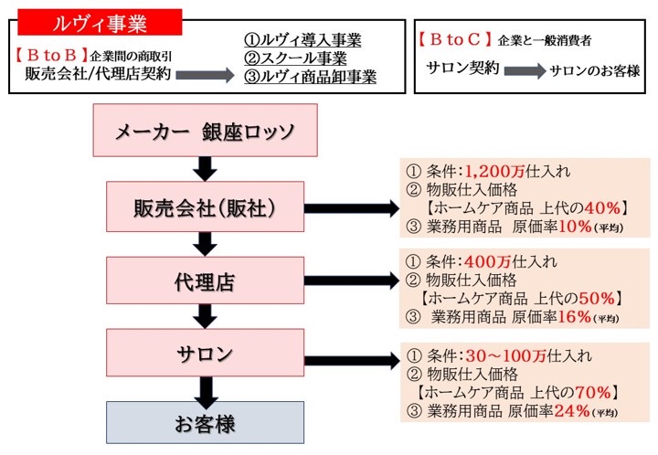 ルヴィ事業の仕組み